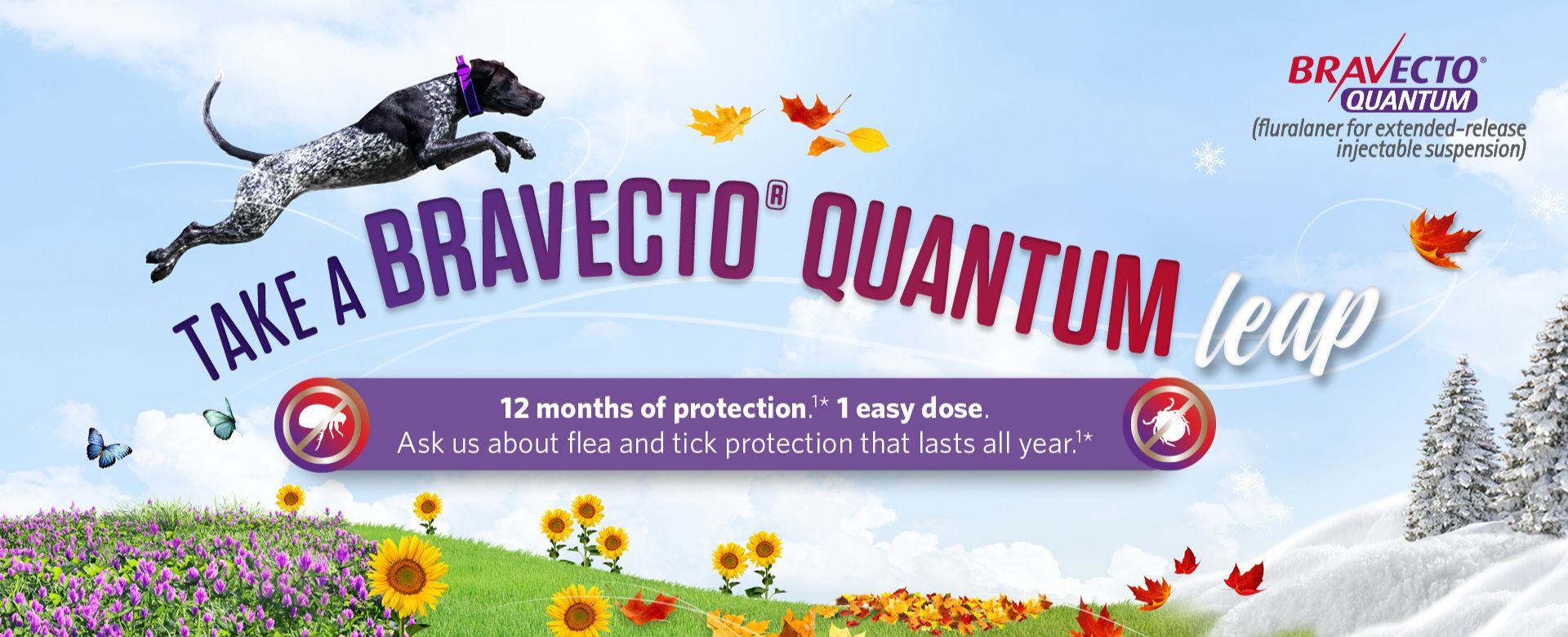 Bravecto Quantum Flea & Tick Prevention for Dogs