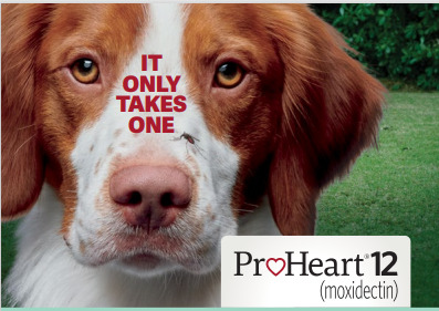 ProHeart 12 Special at Cole Veterinary Hospital